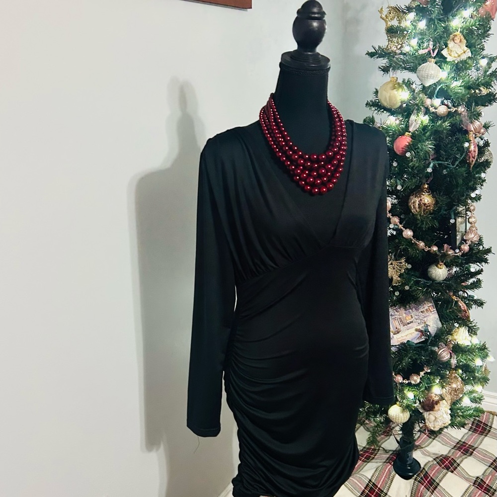 Chic Black Long Sleeve plunge neckline Dress.